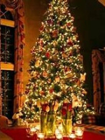 A Tarot Medium and A Listed Certified Master Psychic A Tarot Medium and A Listed Certified Master Psychic