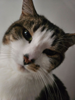 Sunshynn Profile Image