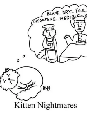 test with saved images cover image