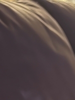 Duke40200 Profile Image