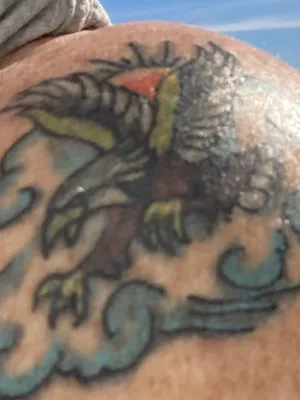 altScott Profile Image