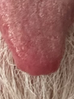 Quintin204 Profile Image