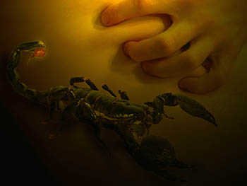 Sexual Desires by the Zodiac: Water Signs