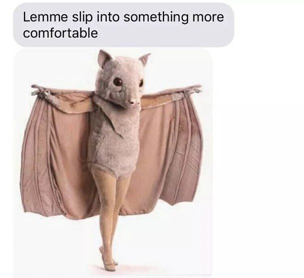 bat costume
