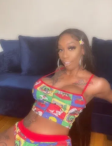 Sissy Secret Society