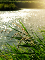 marinadesmersalacarte