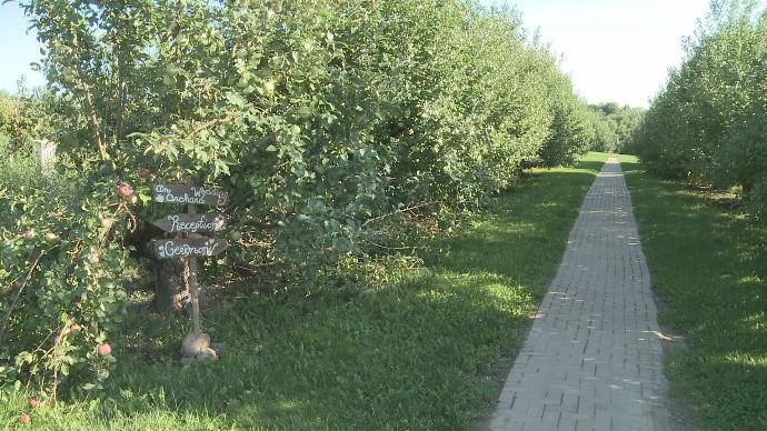 Orchard sign