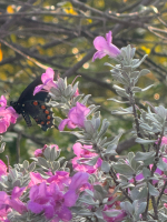 Beautiful Brunette Seductress Loves Role Play and Fantasy