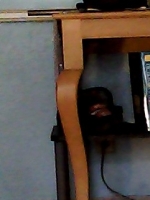 Sexy Phone Tgurl