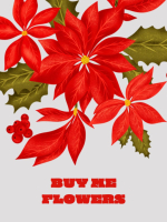 Poinsettia Explosion I love Flowers cover image