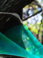 Untitled cover image