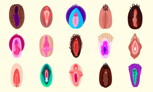 Vagina Emojis