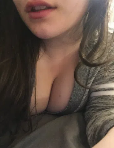 Sweet Aurora Rose