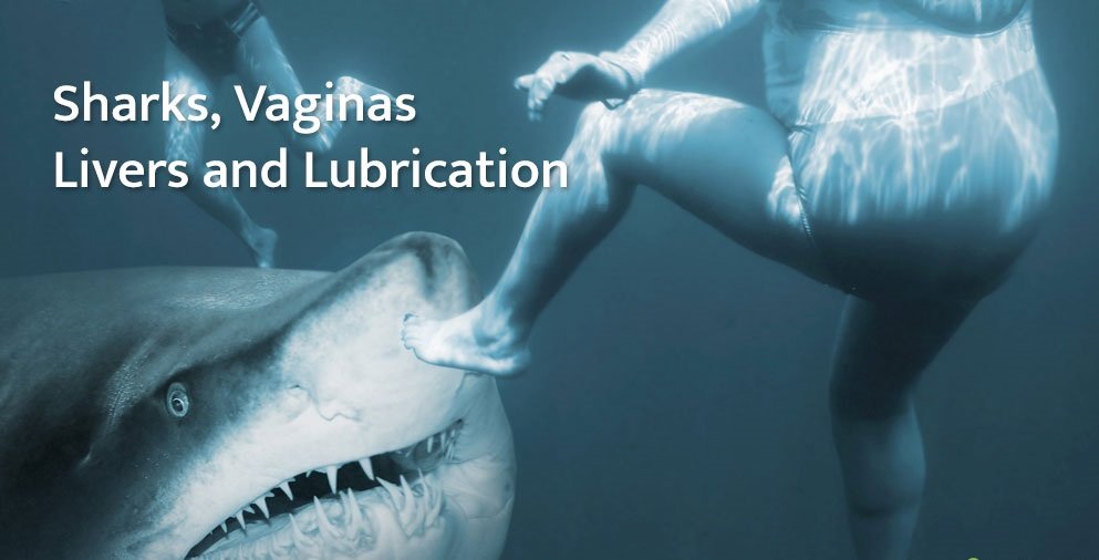 Vagina Shark meme