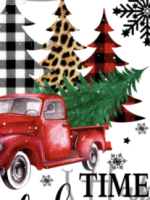 New Christmas Lingerie  cover image