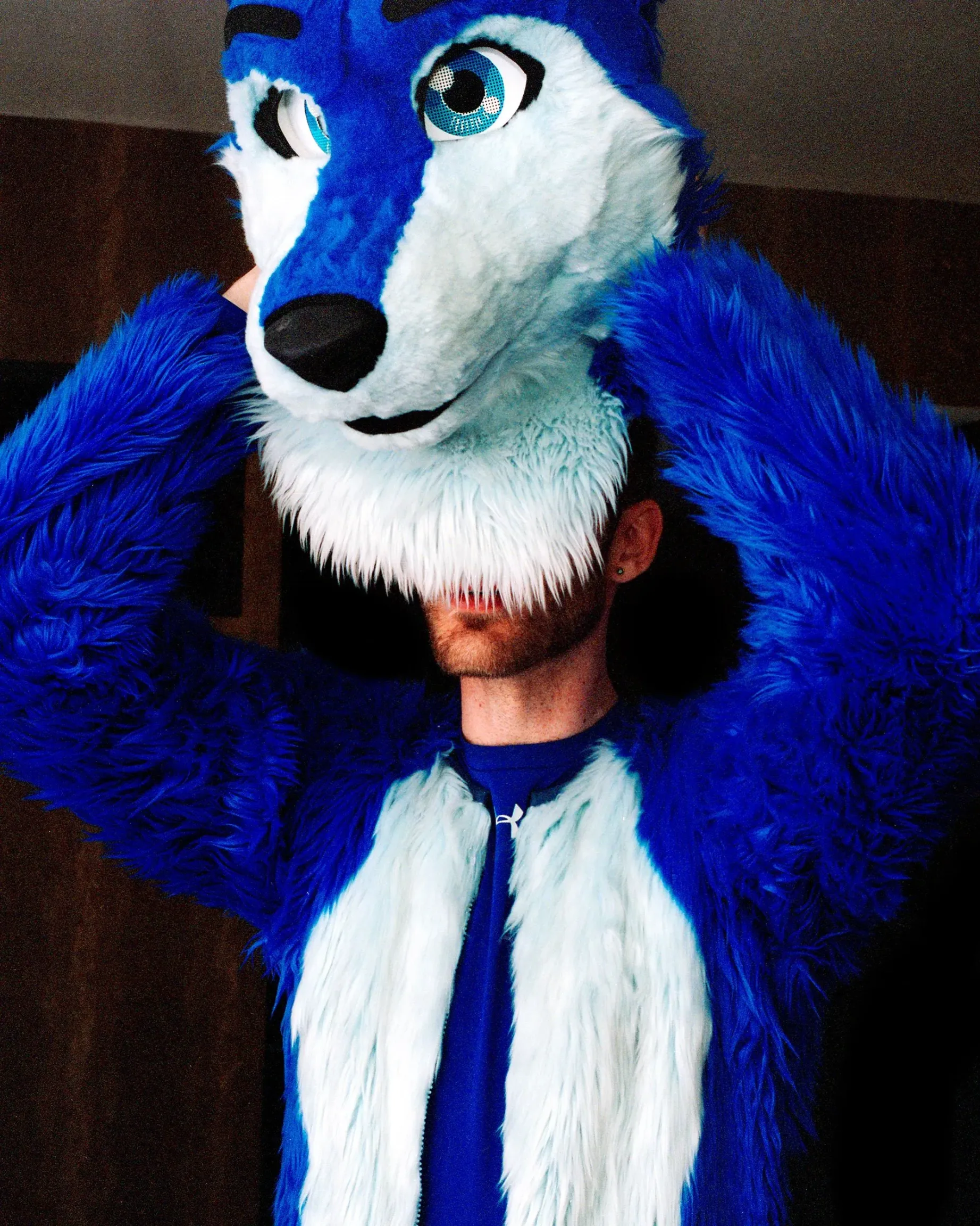 Grown Adults Wanting to Be Furries: Understanding the Interest Without Judgment