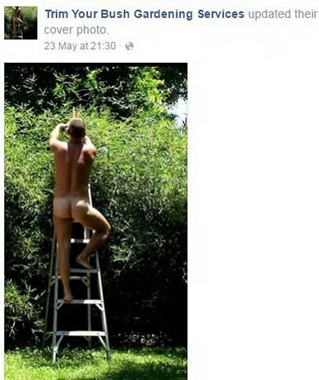Trimming the Bushes