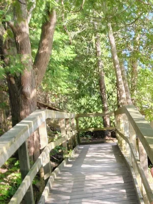 Samshot Profile Image