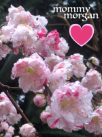 Milky Tits x Juicy Pussy x Mommy Domme x Naughty Fun