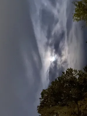 mmmmmbaby Profile Image