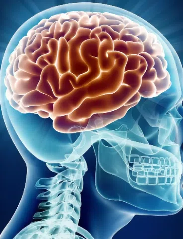 Jasmine is here to help with those intrusive thoughts