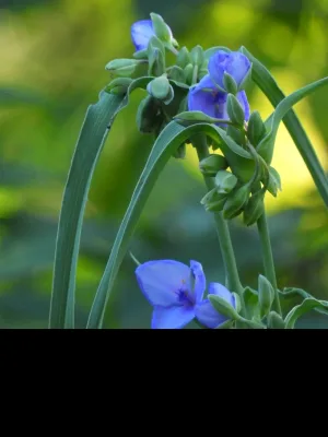 Misc photography of mine