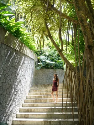 Bridging Perspectives and Desires 