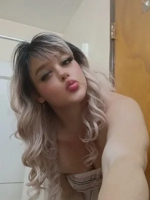 Sundress cover image