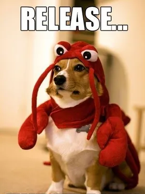 Cheekies Profile Image