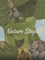5 Natural, Outside Chip Polished Foot photos  cover image