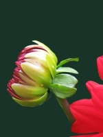 Just4Testing