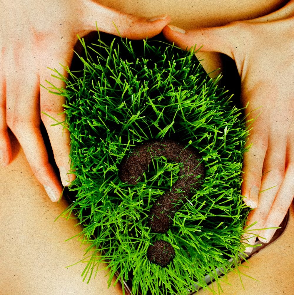 Why Pubic Hair Is &ldquo;In&rdquo; Now: A Cultural Shift Toward Body Autonomy and Authenticity