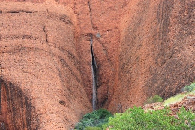 World’s Largest Vagina