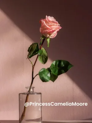 Camelia Moore