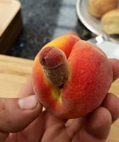 Edible Intimate Images