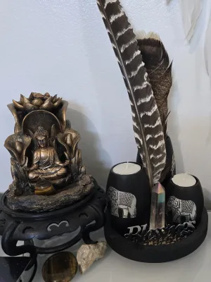Moon Dancer Moon Dancer