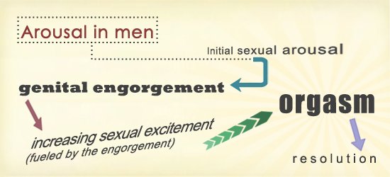 Arousal Chart multiple orgasm