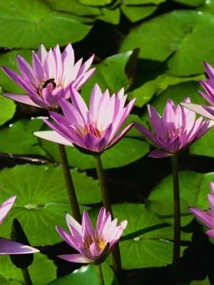 jeniferkiz Profile Image