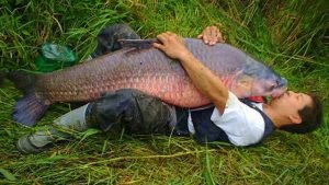 man-hugging-fish-1