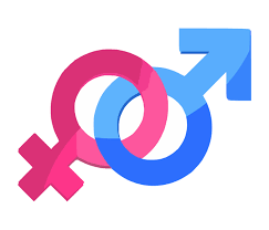 Understanding human sexuality