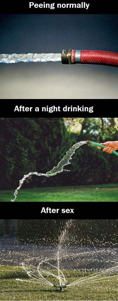 Funniest_Memes_peeing-normally-after-a-night-drinking-after-sex_1975