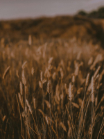 balbeerbureau balbeerbureau