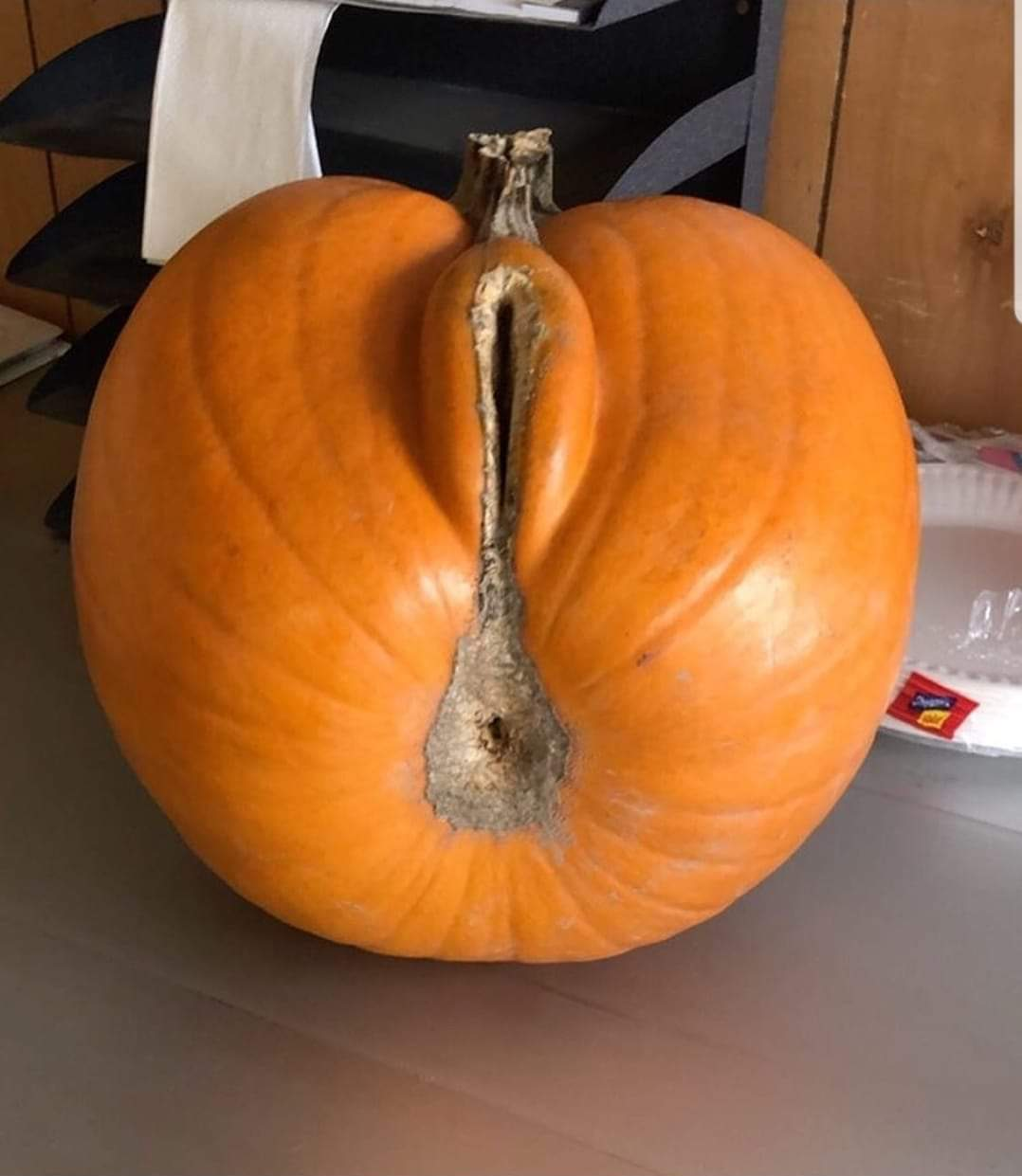 Pumpkin- Spice up Your Sex Life