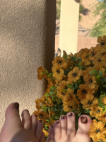 Feet in Flowers cover image