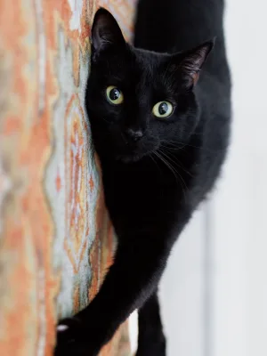 This is a profile