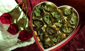 happy-valentines-day-from-leafly