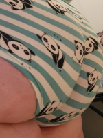 Panties  cover image