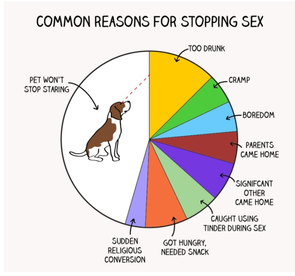 common sex interruptions pie chart