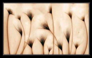April Fools Illusions