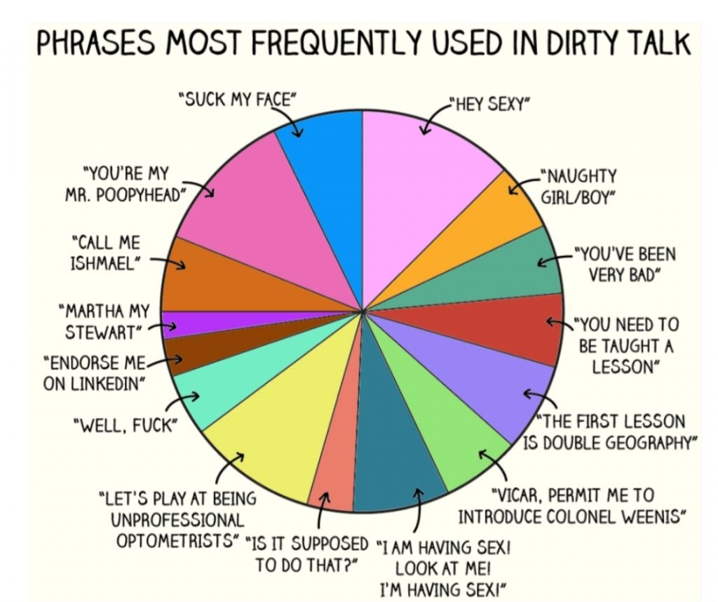 Dirty Phrases Pie Chart